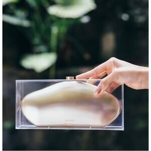 Cult Gaia Annika Clutch Transparent / Brass Gold One Size Bag EUC